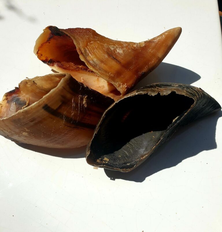 COW HOOVES Max's 100 Natural Dog Treats & Healthy Choices