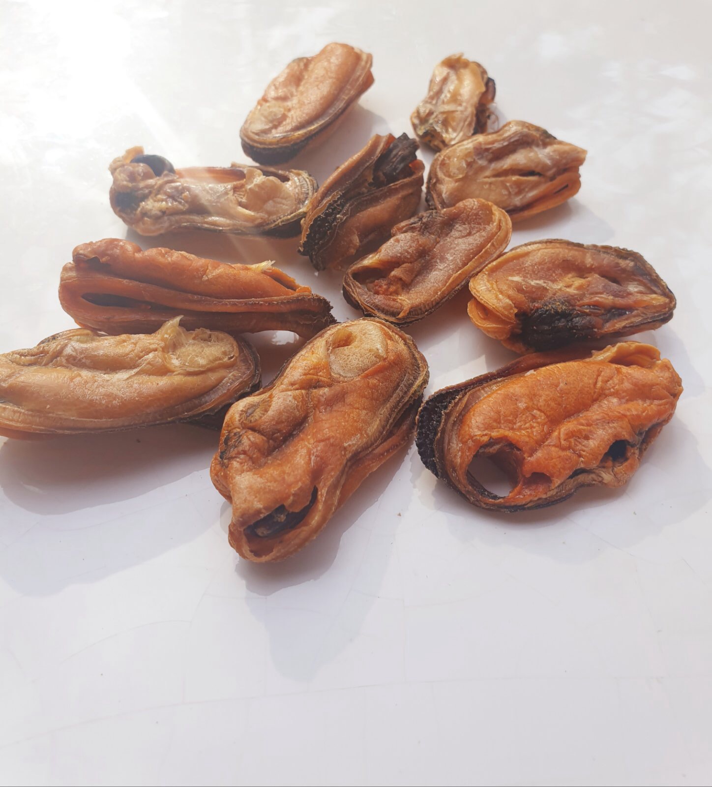 Green Lipped Mussel - Max's 100% Natural Dog Treats & Healthy Choices